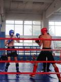 Кiкбоксери Донеччини розіграли Кубок WAKO в «Олімпійському»