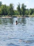 «Веселі естафети на воді» для людей з інвалідністю