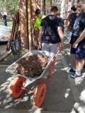 World Cleanup Day в обласному спортивному коледжі ім. С.Бубки