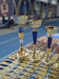 У Києві відбувся відкритий чемпіонат Донецької області з карате JKS за участю ветеранів війни